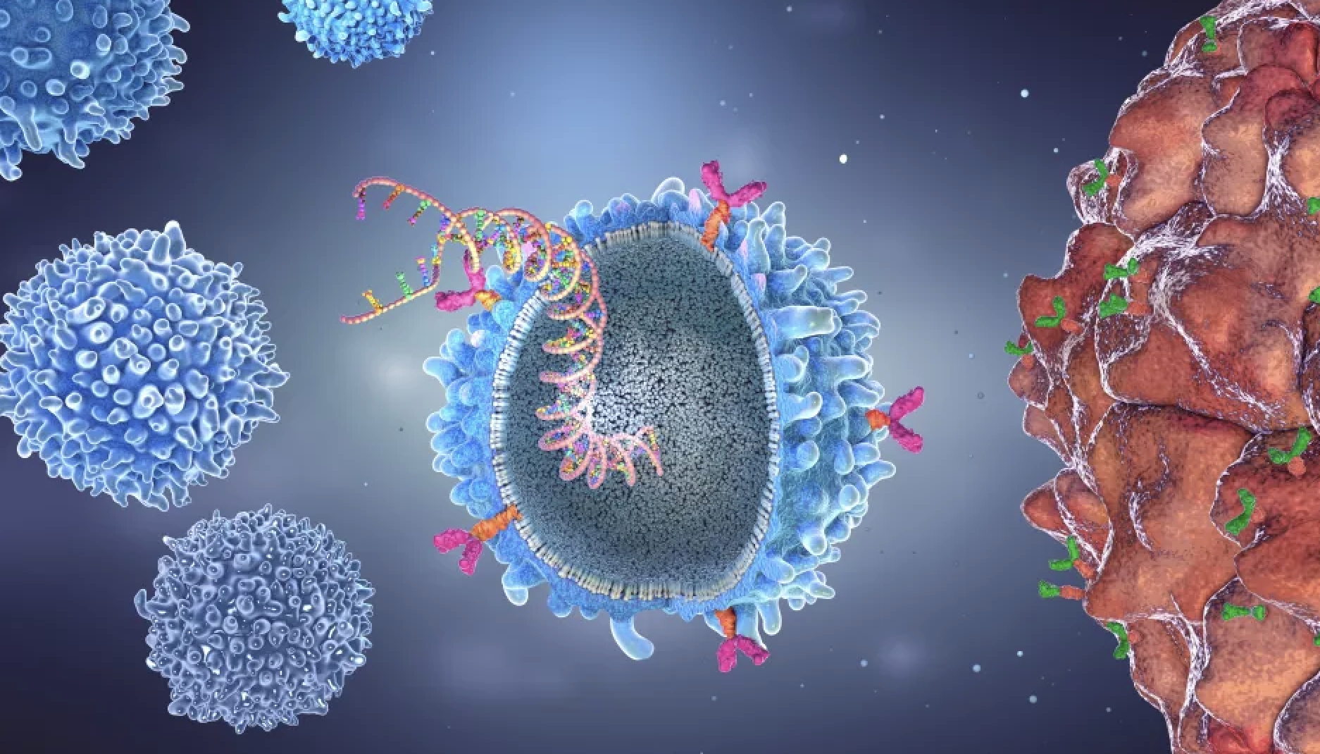 Themed Lunch Lecture 